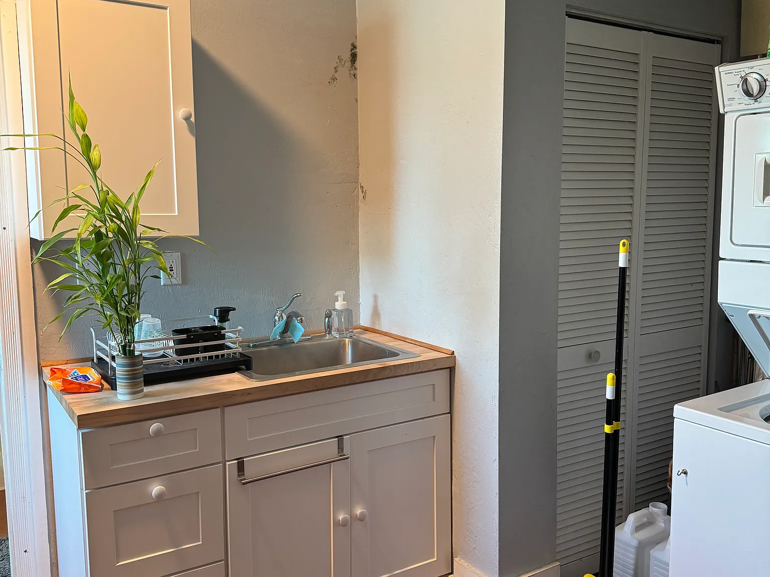 Studio, 450 sqft, $1,500 — Photo 2