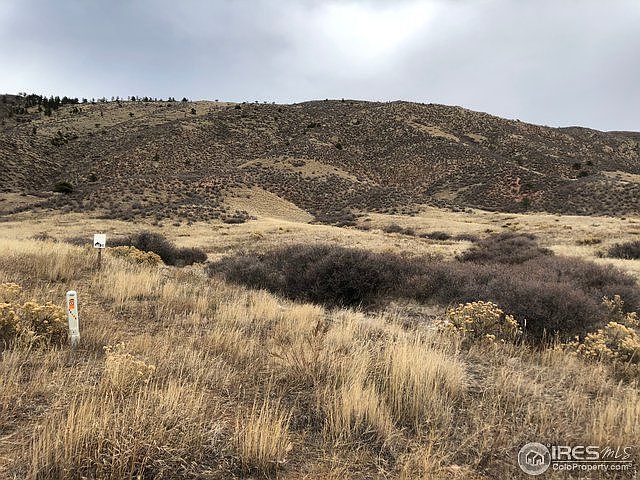 2nd image of 10548 Buckhorn Ridge Way