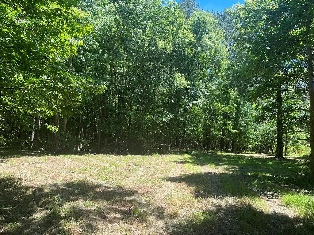 15001 Winterville Rd photo 1