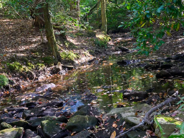 2A N Lula Forrest Trl, Rising Fawn, GA 30738