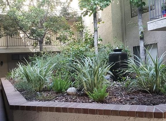 3rd image of 1636 S Barrington Ave APT 204