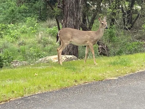 20901 Park Dr, Leander, TX 78645