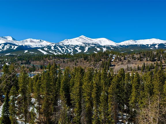 4th image of 309 Royal Tiger Rd