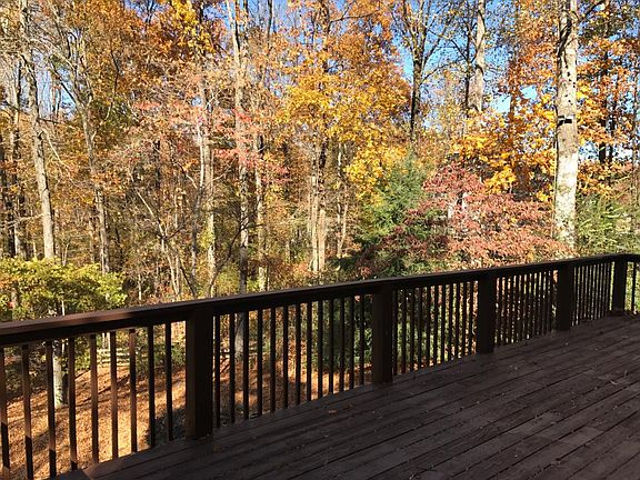 back yard view from deck