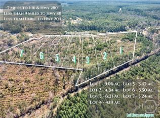 LOT 1 Charles Shuman Rd, Pembroke, GA 31321