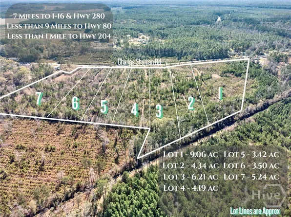 Lot 1 Charles Shuman Road, Pembroke, GA 31321