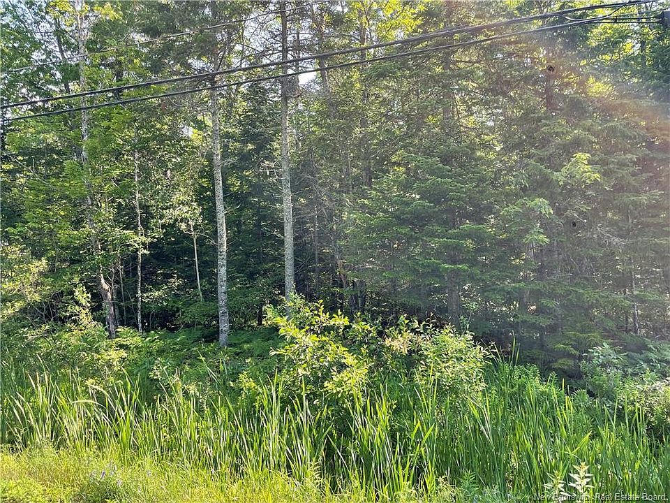 1st image of LOT 1 Route 490