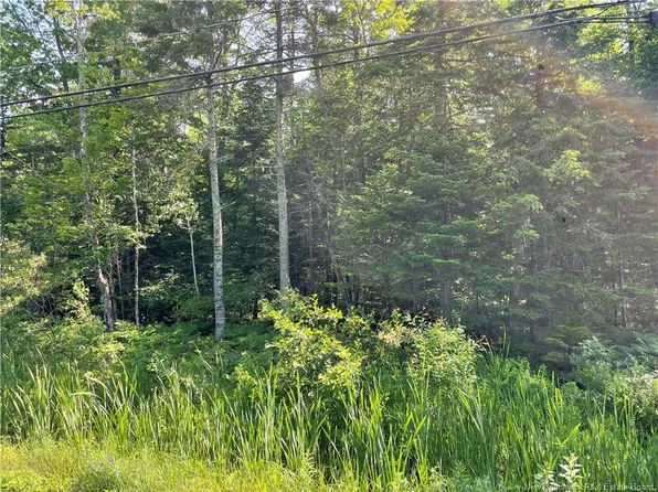 LOT 1 Route 490, Moncton, NB E1G 3P3