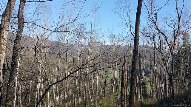 1st image of 230 Shining Rock Path