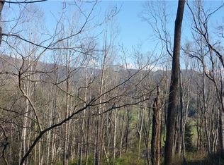 230 Shining Rock Path, Horse Shoe, NC 28742