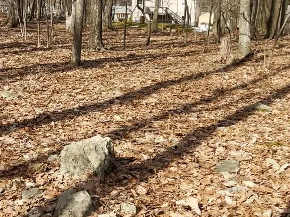 133 Matterhorn Rd #118, Henryville, PA 18332