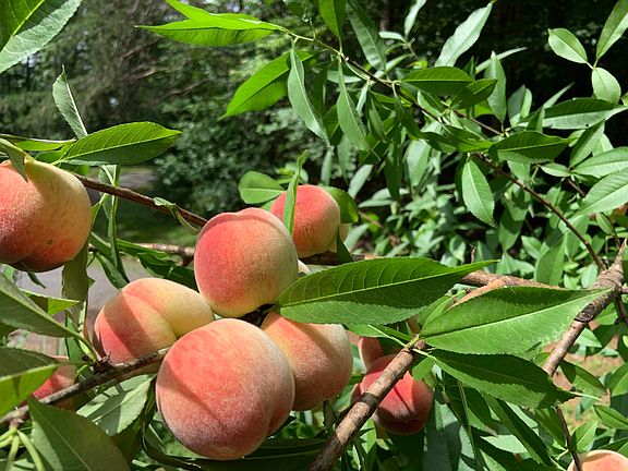 69th image of this home