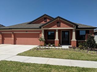 11628 Iris Spring Ct, Riverview, FL 33579