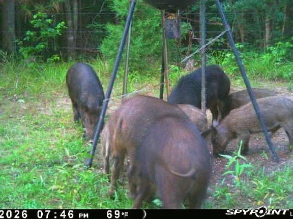 3rd image of 459 County Road 3303
