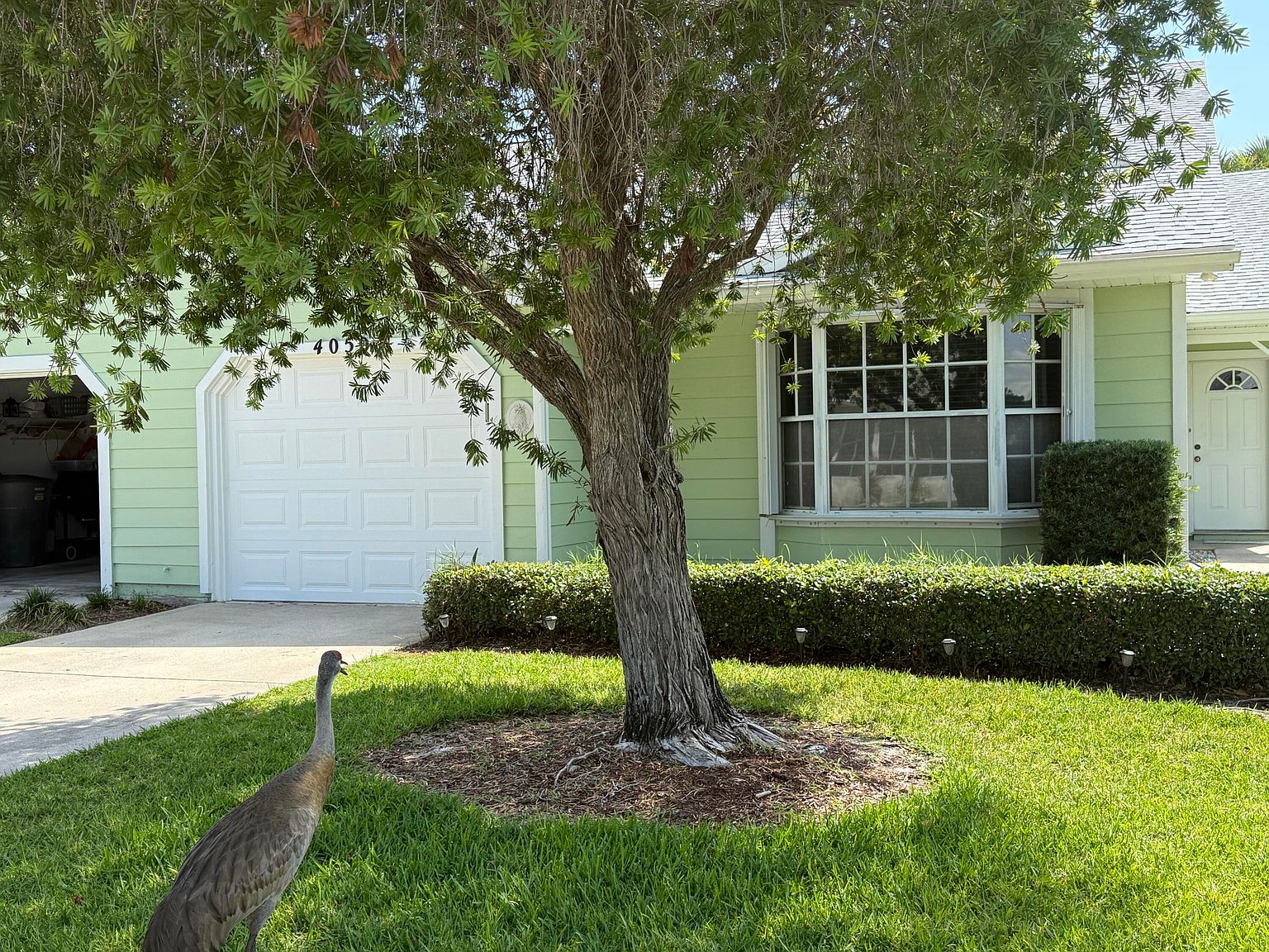 4050 Gator Trace Road