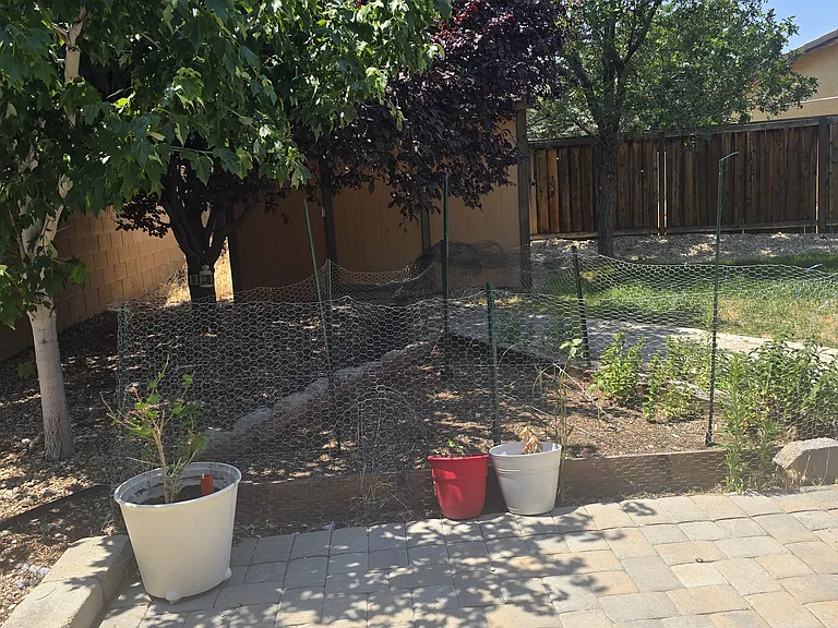 230 Bolzano Dr — Photo 14
