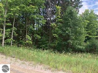 0 Vans Ln, Fife Lake, MI 49633