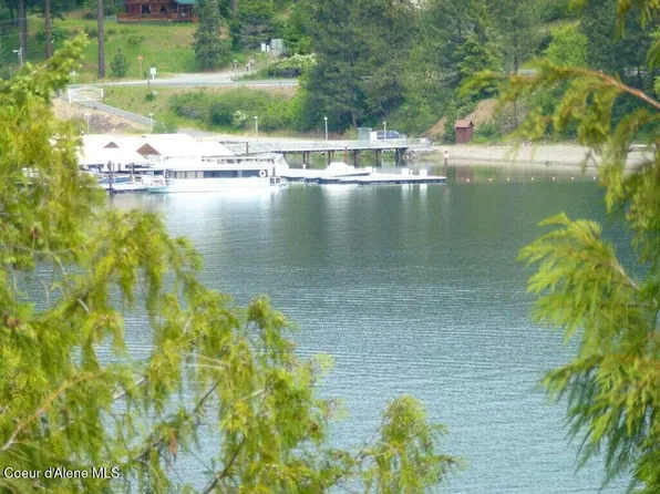 5 Flying Eagle Dr, Harrison, ID 83833