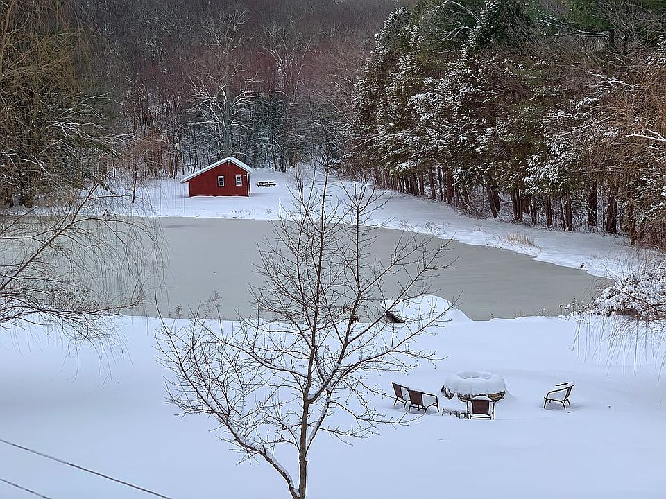  View of back yard