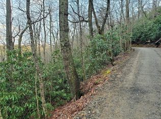 9 Nc Hwy, Black Mountain, NC 28711