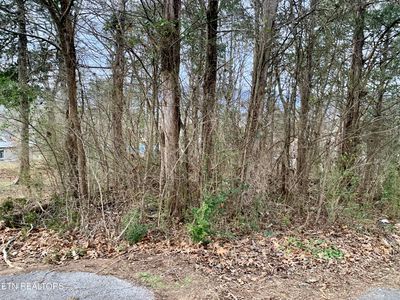 Cumberland Dr, Harrogate, TN, 37752