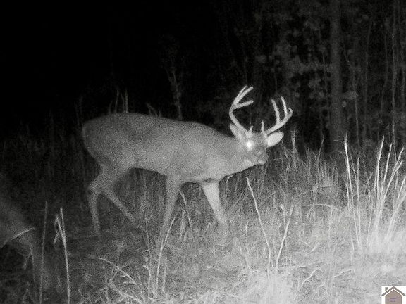 3rd image of 0 Dawson Rd