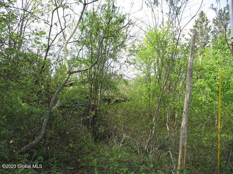 5th image of 748 HOG BACK Road