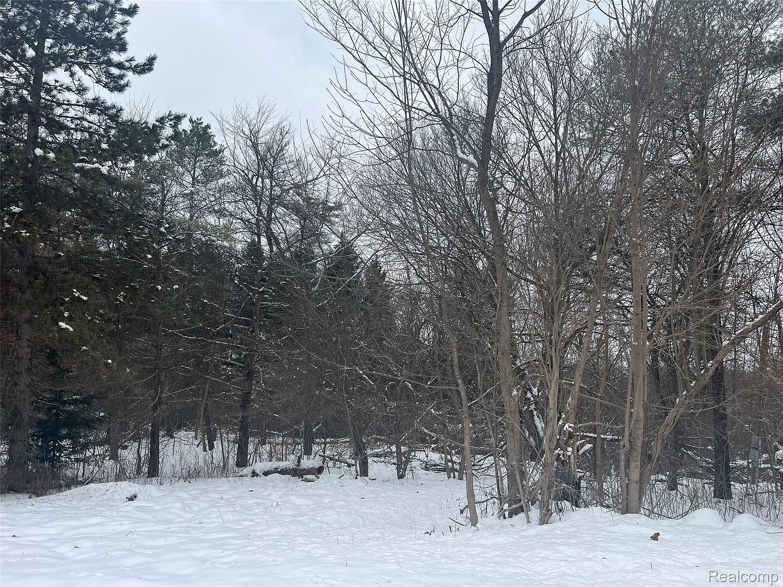 Hegel Rd photo 1