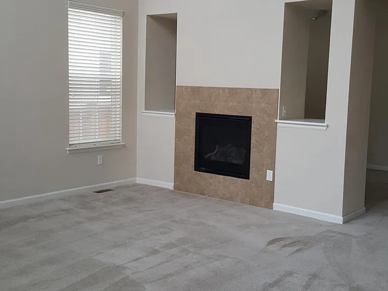 Fireplace in Family Room