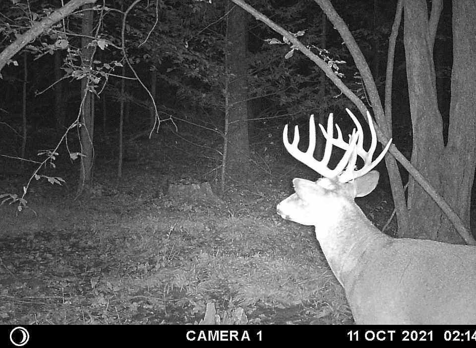 1st image of 4515 County Route 82