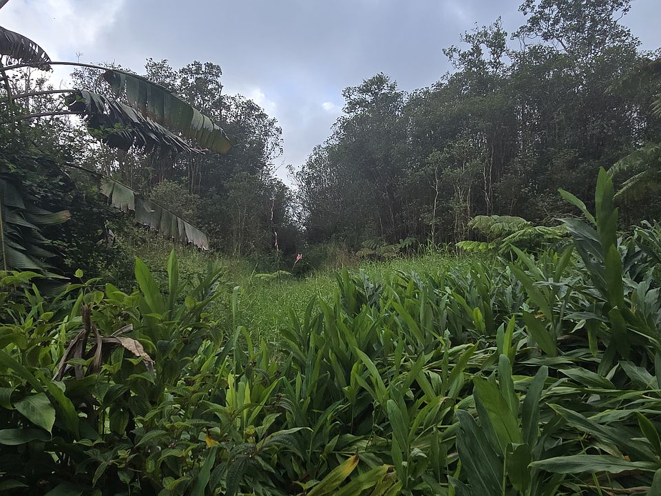 1st image of 18-1983 Waiwai St Lot 865