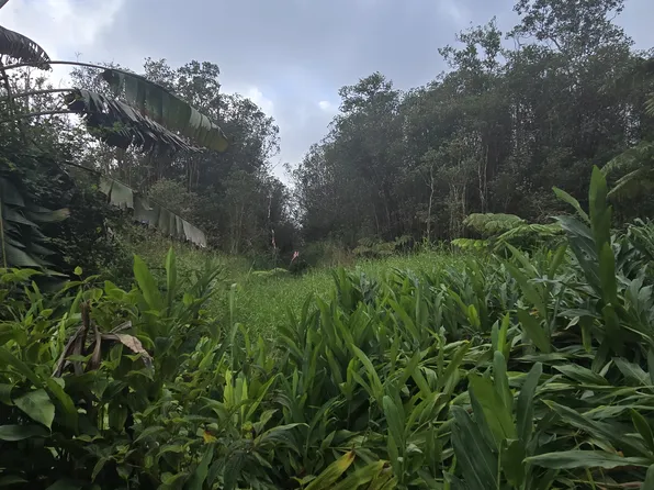 18-1983 Waiwai St Lot 865, Mountain View, HI 96771