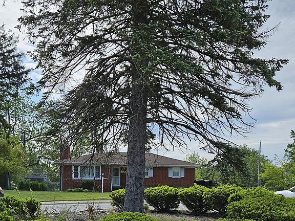 4th image of 5650 Adams Ct