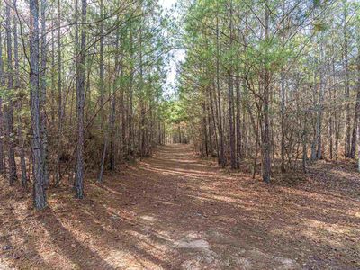 7 Tract 7 Liberty Church Rd, White Plains, GA, 30642
