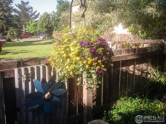 Summer Photos of Courtyard
