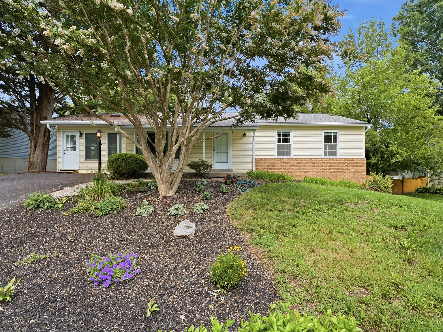 4 bed, 1776 sqft, $3,000 — Photo 4