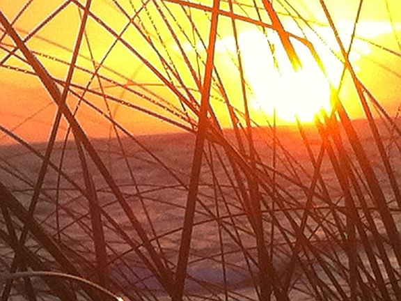 Beach entr is 1.5 miles away