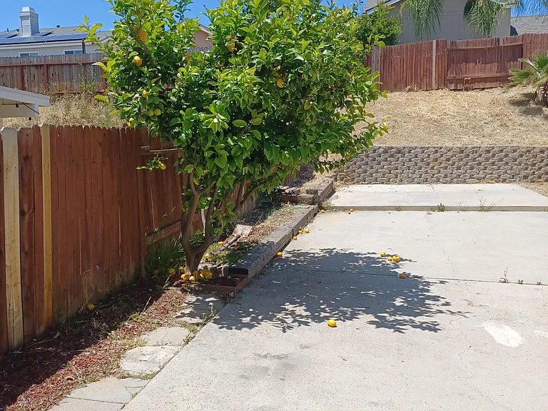 11929 Albion Way — Photo 5