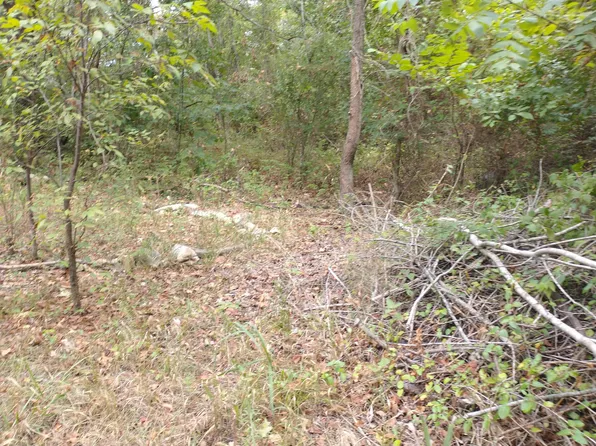 220 Harmony Lane, Branson, MO 65616