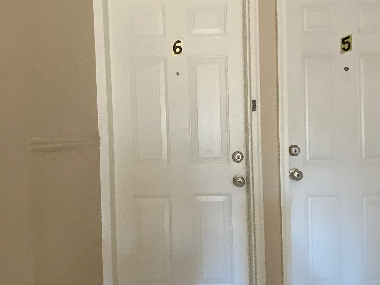 2 bed, 1050 sqft, $1,600 — Photo 3