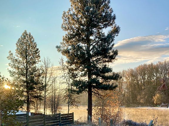 Primary bedroom view on a frosty morning.