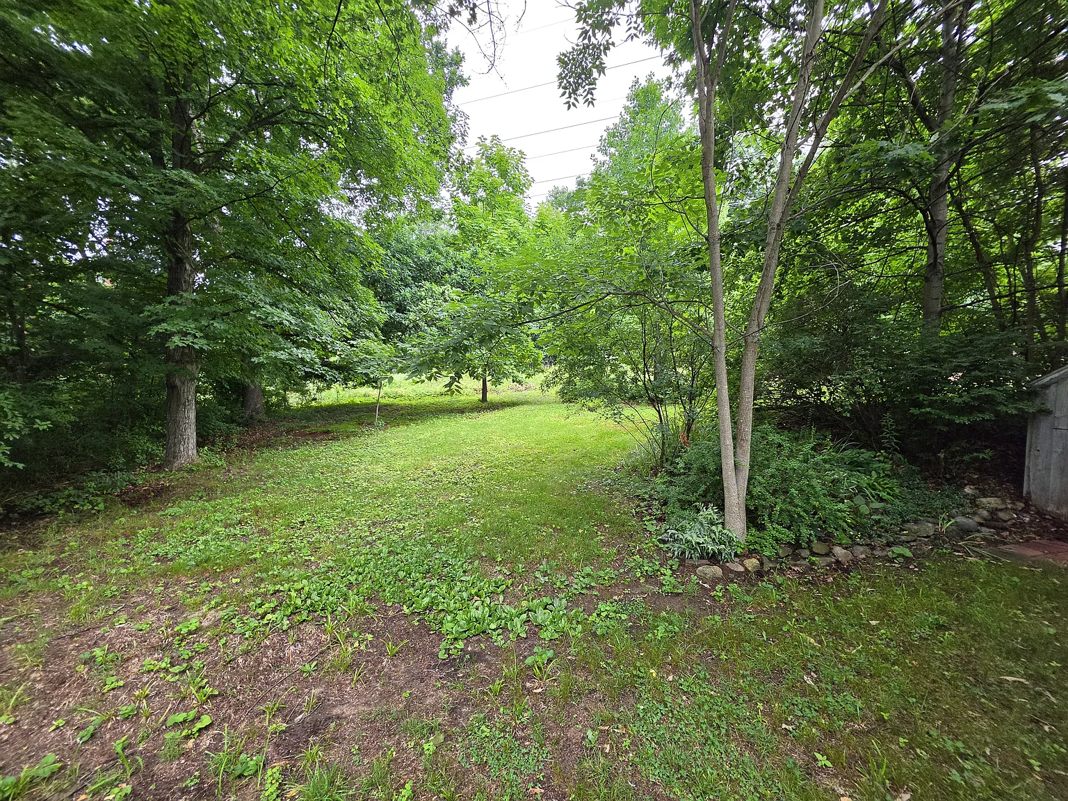 4 bed, 1123 sqft, $3,600 — Photo 3