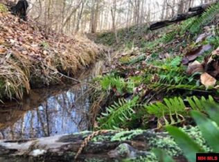 10123 Corinth Rd, Pineville, AR 72566