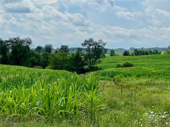 Foundry Hill Rd, Salineville, OH 43945