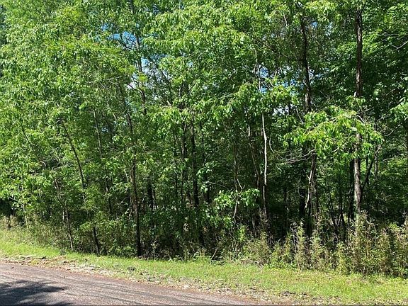 3rd image of 43 Shetland Ln Lot 19