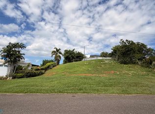 Carr 110 Calle Yagrumo Bo Aceituna Moca, Moca, PR 00676