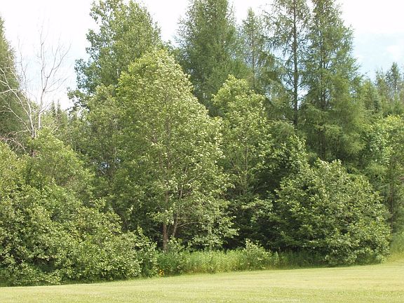 4th image of On Maple Ridge Rd