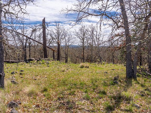 4th image of Piney Woods