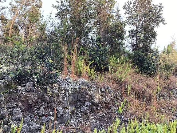 4th image of Lehua Ln Lot 27