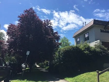 Studio, 500 sqft, $1,525 — Photo 1